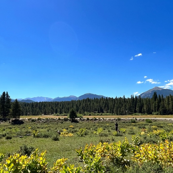 Meet your Posher, Rochelle - Picture 8 of 16